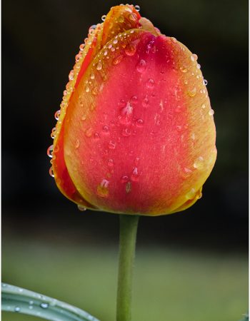 Grantham & District Camera Club