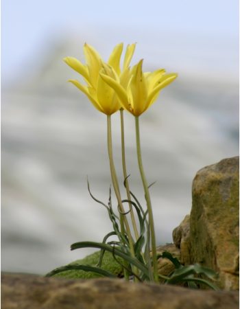 Grantham & District Camera Club