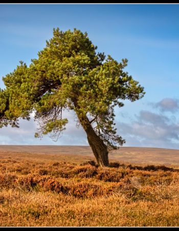 Grantham & District Camera Club
