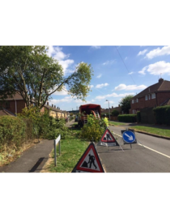 Belvoir Tree Services