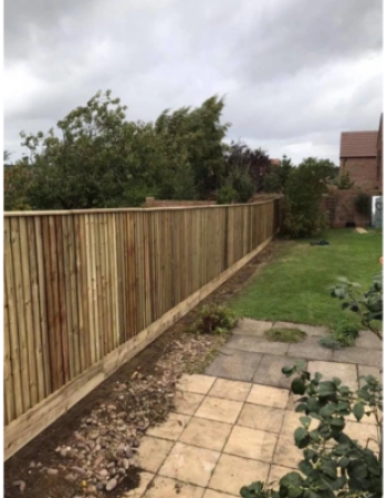 Belvoir Tree Services