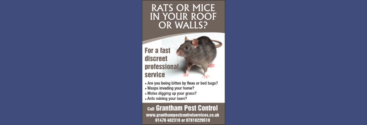 Grantham Pest Control Services