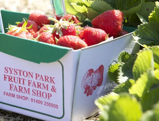 Syston Park Farm Shop