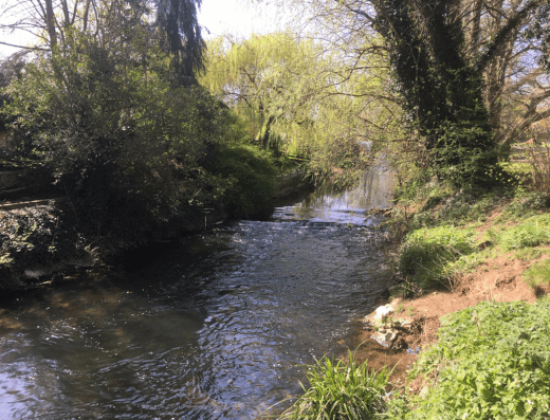 Queen Elizabeth Park