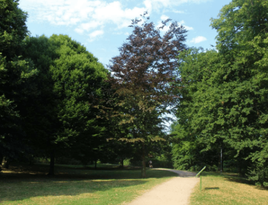 Queen Elizabeth Park