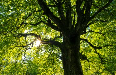 blog-grid-1-410x308