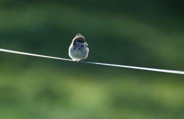 blog-grid-1-410x308