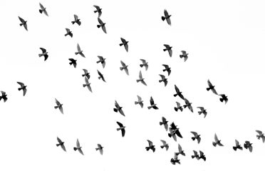 blog-grid-1-410x308