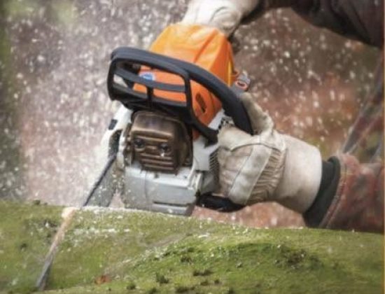 Bradshaw Tree Services