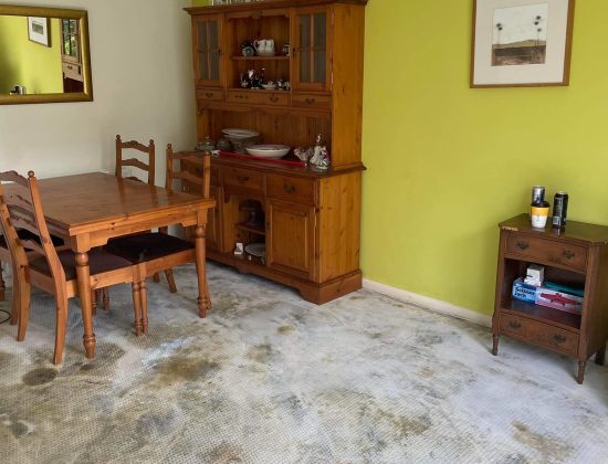 Dust Busters Cleaning Services