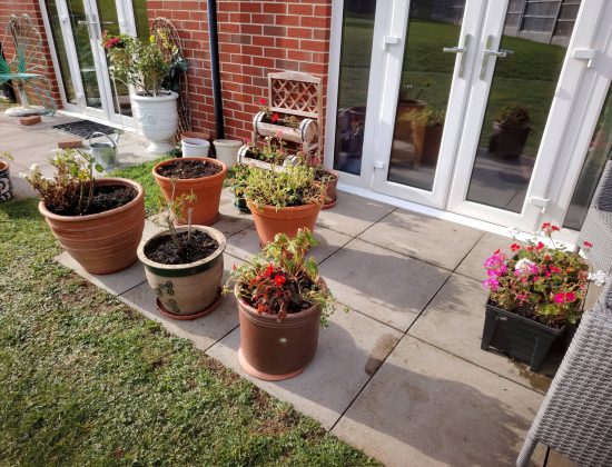 Matt’s Gardening Grantham