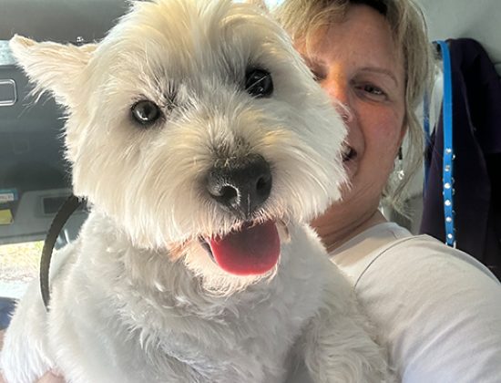 HydroHounds Dog Grooming